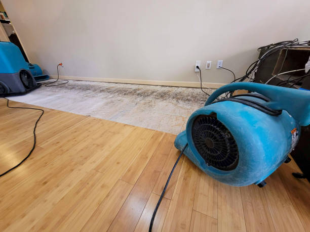 Professional Basement Flood Cleanup technician working in Fredericksburg, TX